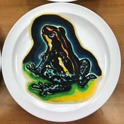 Dart Frog Pancake Art